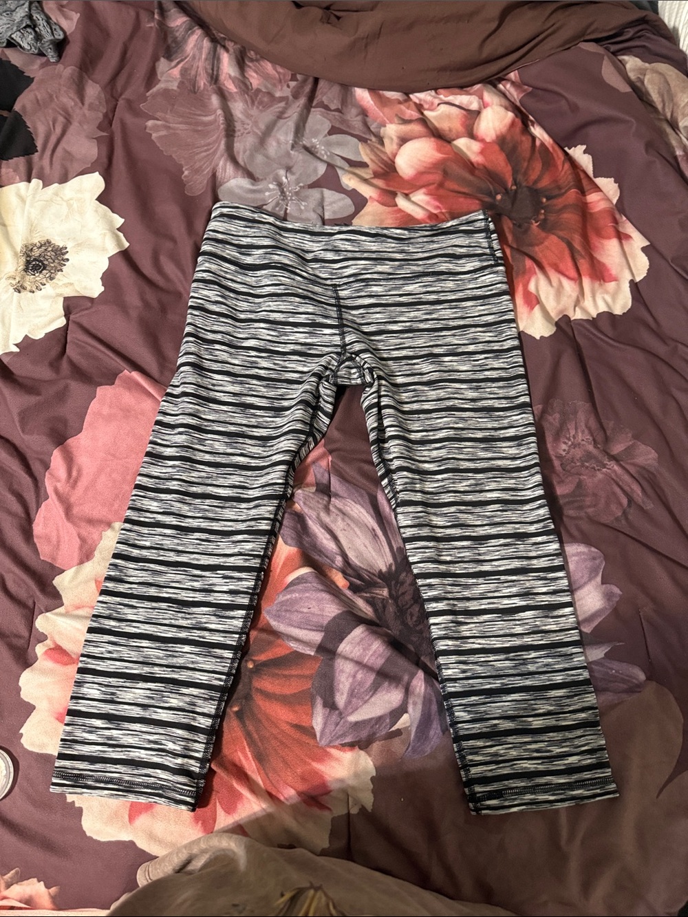 Scorpio Sol Black & Gray Striped Leggings